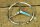 trunk lid star 190SL