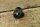 gear knob 190SL - black ( screw )