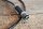 speedo cable W180/W128 220S/SE (1810mm)