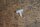 mounting clip W111/112 sedan/W100 0009880028