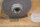 fuel filter D-jet