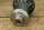 water pump, 3 hole