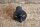 door contact switch 0008211552