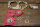 Rep-Kit Solex 32-34 PICB Carburator