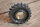 tensioner sprocket 1800500109 