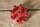 distributor cap M116/M117/M100 ( plug in )