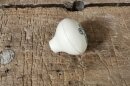 gear knob 190SL, ivory (to push)