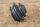 rubber gear shift rod , Ponton
