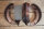 set of brake shoes, rear 65mm steel Ponton, 190SL, W110, W111, W113 ( in exchange )