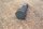 fitting screw front brake caliper 1114210371