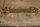 Halter Bremssattel HA 108-111-113