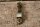 rocker arm intake Ponton / 190SL OEM