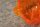 indicator lense 190SL ,late - orange