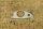 chain tensioner gasket Ponton / early 190SL / W110 / early W111