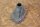 Manschette Bremsseil/Ankerplatte R
