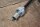 speedo cable W108/W109 - 250, 280, 300 automatic (1450mm)