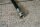 clutch hose 230SL - repro