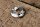 chrome rosette door lock
