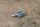 chrome water nozzle windscreen wiper