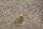 mounting screw trim Ponton 1808880071
