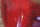 tail light repair lense W111/112 sedan ,RH, blinker , red