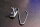mounting screw trim Ponton cp. / cab , 0009903133