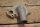 water pump housing M121 late/ M127 /M180 NOS