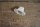 sun visor clip 230SL/250SL , creme