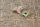 metal cramp 1209950005 (aut. oilpipe etc.)