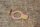 locking plate tie rod , Ponton / SL