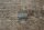 shell generator 1809910640 Ponton / SL