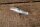 Hood Release Handle 190SL/ Ponton & early W110/W111/W112