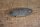 rear torsion bar locking plate W123