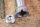 chain tensioner M110