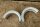 main bearings M114/M130 (early) -59.50mm- 2nd rep.-size