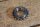 crankshaft sprocket M102