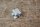 plastic cover cramp front subrame