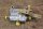air valve front right W100/W109/W112 late (in exchange)