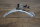reflector for headlight blinker W113