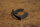 Sicherung an Bremsseil W108-111-113