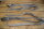 door seals ( set ) 107 SLC /  early 107 SL OE