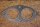 seal front exhaust pipe W123 / M102