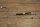 lower oil pipe M110 R107 W116