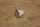 plug for bumper hole 107,114,115,116,123