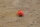 cap for grease nipple Ponton, 190SL / W108-R113