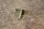 Schraube Zierstab an Heck Ponton W128/180 Cabrio
