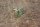 Schraube Zierstab an Heck Ponton W128/180 Cabrio