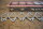 cylinder head gasket kit M103 (R107 300SL)
