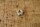 cap screw for wiper shaft M8, polished