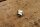 cap screw for wiper shaft M8, polished